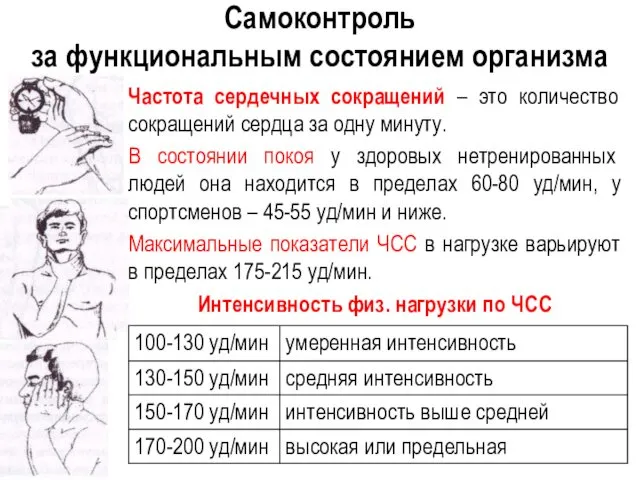 Самоконтроль за функциональным состоянием организма Частота сердечных сокращений – это