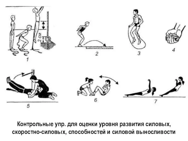 Контрольные упр. для оценки уровня развития силовых, скоростно-силовых, способностей и силовой выносливости