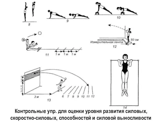 Контрольные упр. для оценки уровня развития силовых, скоростно-силовых, способностей и силовой выносливости