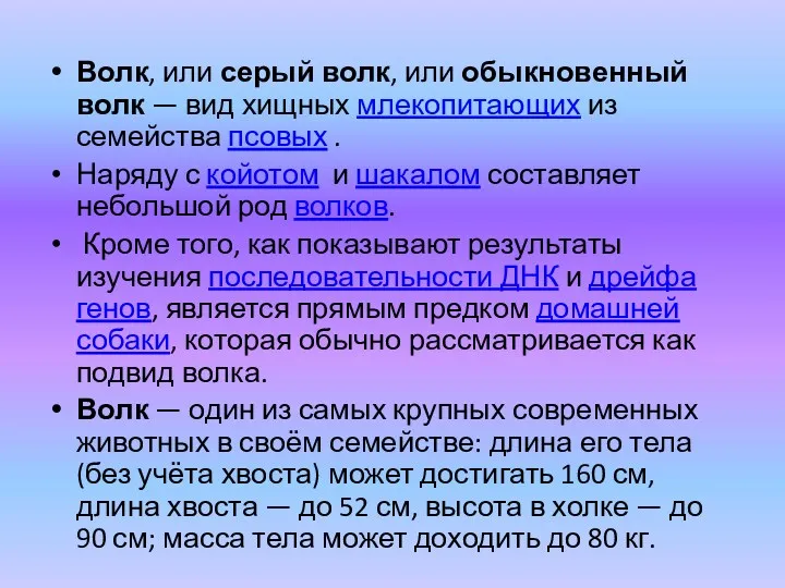 Волк, или серый волк, или обыкновенный волк — вид хищных