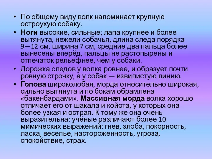 По общему виду волк напоминает крупную остроухую собаку. Ноги высокие,