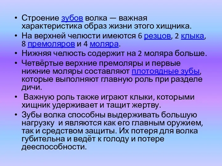 Строение зубов волка — важная характеристика образ жизни этого хищника.