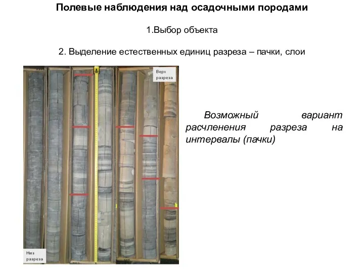 Полевые наблюдения над осадочными породами 1.Выбор объекта 2. Выделение естественных