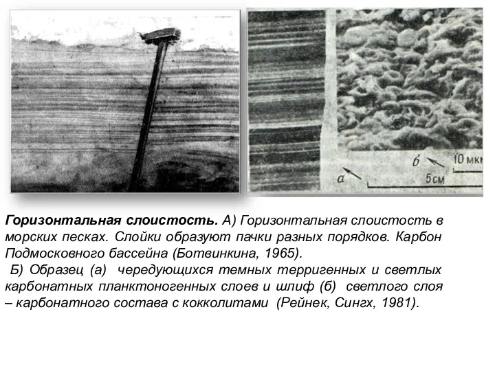 Горизонтальная слоистость. А) Горизонтальная слоистость в морских песках. Слойки образуют