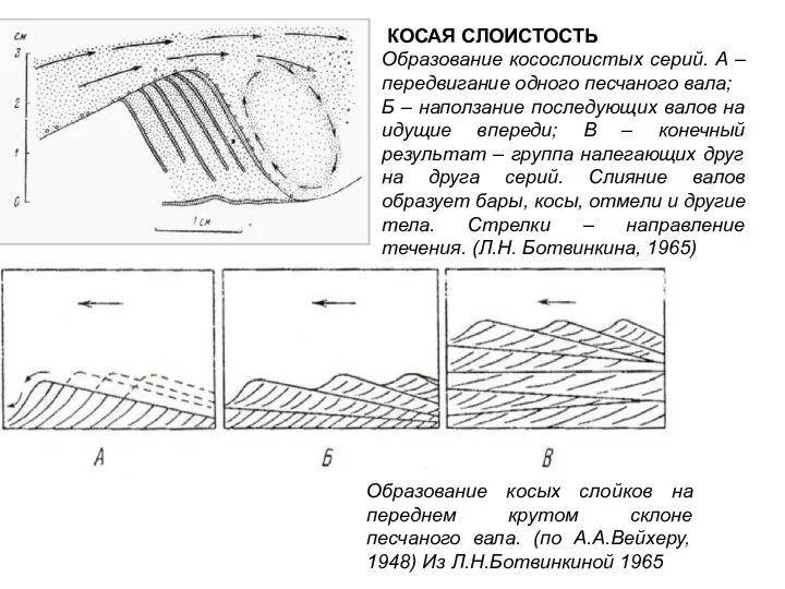 КОСАЯ СЛОИСТОСТЬ Образование косослоистых серий. А – передвигание одного песчаного