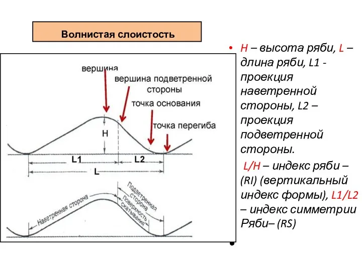 Волнистая слоистость H – высота ряби, L – длина ряби,