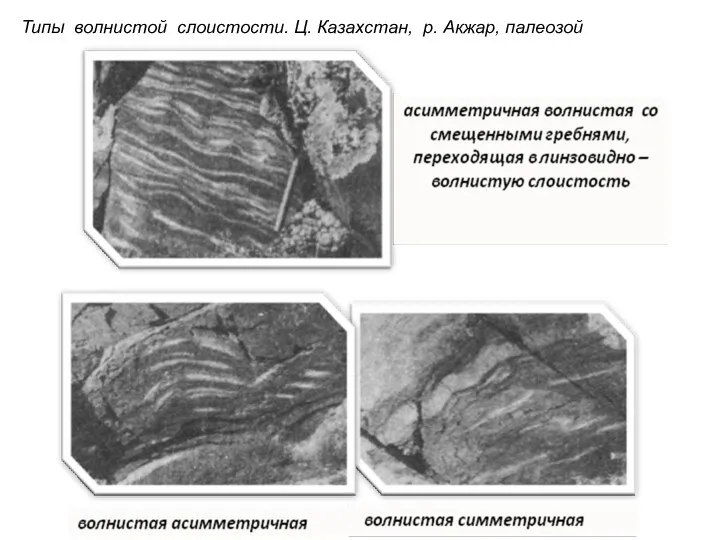 Типы волнистой слоистости. Ц. Казахстан, р. Акжар, палеозой