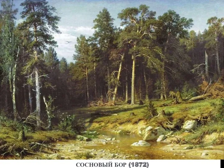 СОСНОВЫЙ БОР (1872)