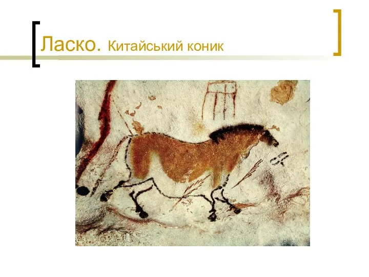 Ласко. Китайський коник