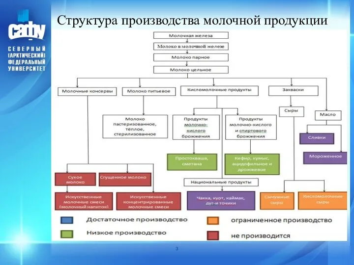 Структура производства молочной продукции