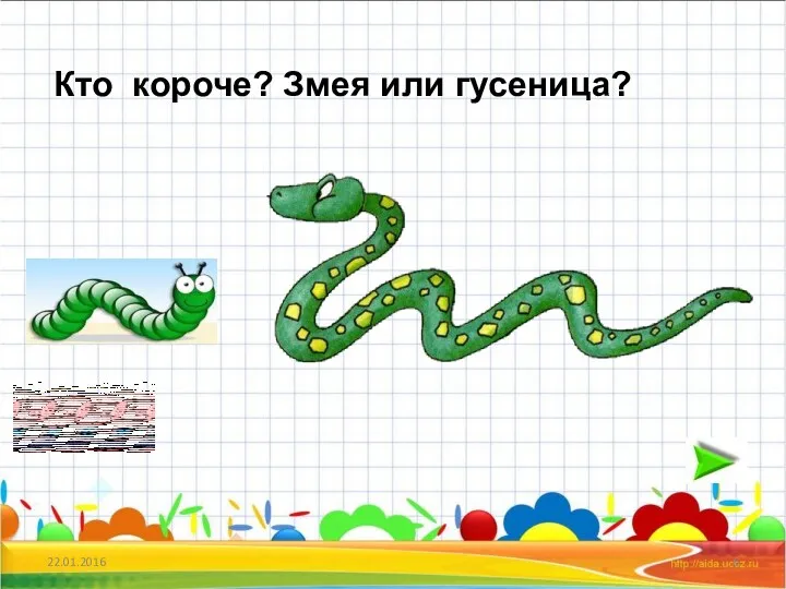 22.01.2016 Кто короче? Змея или гусеница?