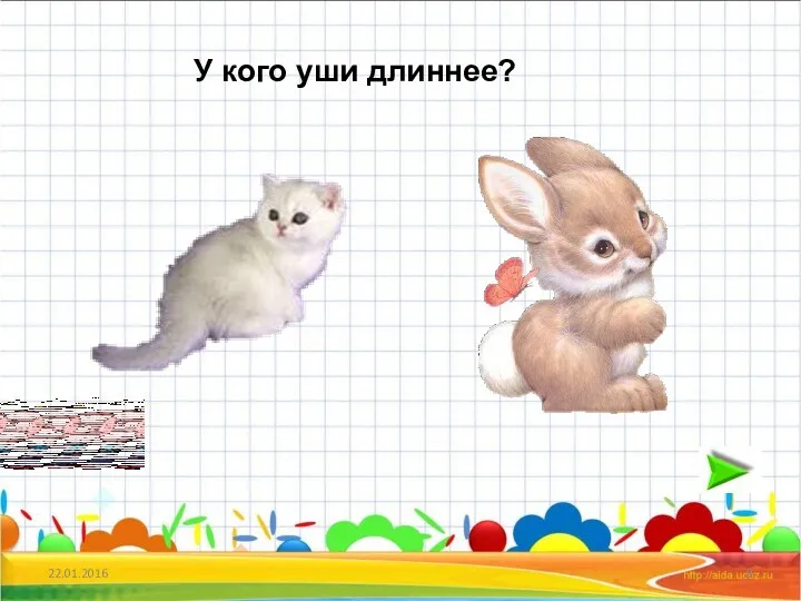 22.01.2016 У кого уши длиннее?