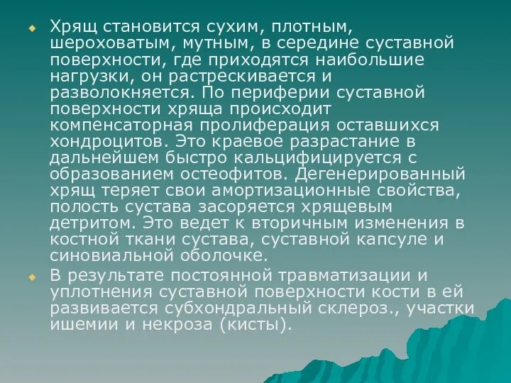 Хрящ становится сухим, плотным, шероховатым, мутным, в середине суставной поверхности,