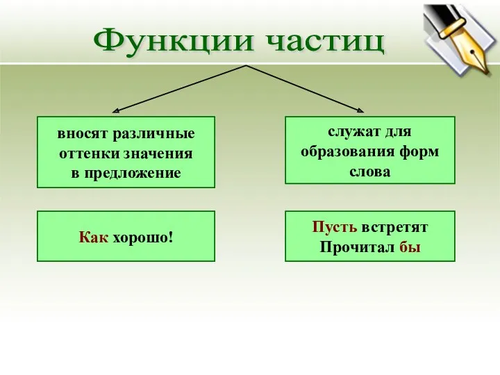 Функции частиц вносят различные оттенки значения в предложение служат для образования форм слова