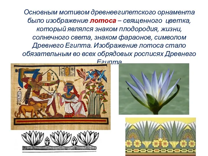 Основным мотивом древнеегипетского орнамента было изображение лотоса – священного цветка,
