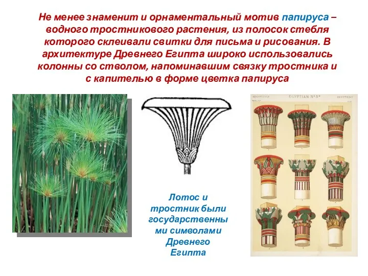 Не менее знаменит и орнаментальный мотив папируса – водного тростникового