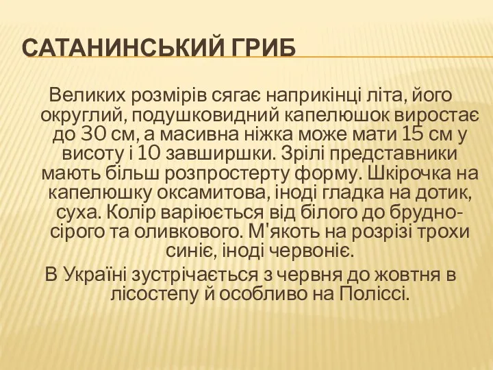 САТАНИНСЬКИЙ ГРИБ Великих розмірів сягає наприкінці літа, його округлий, подушковидний капелюшок виростає до