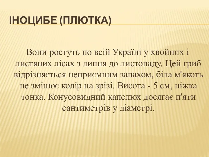 ІНОЦИБЕ (ПЛЮТКА) Вони ростуть по всій Україні у хвойних і листяних лісах з