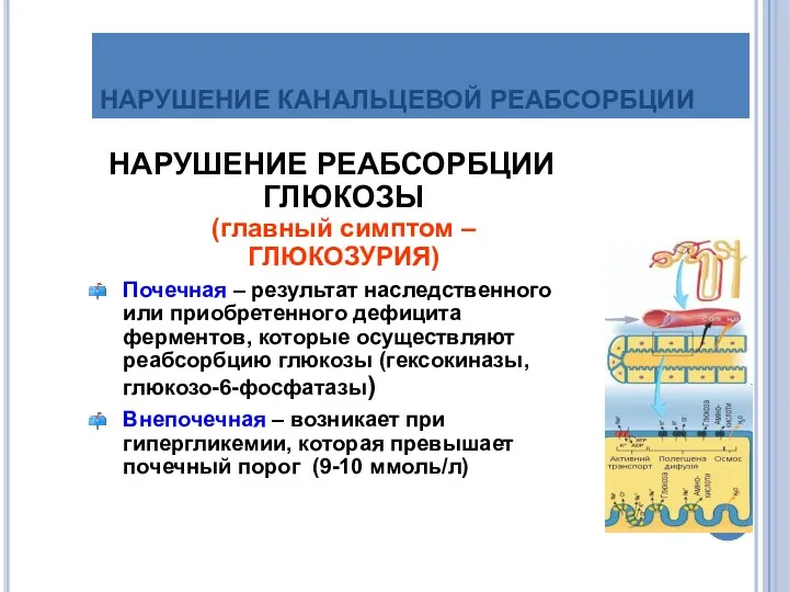 НАРУШЕНИЕ КАНАЛЬЦЕВОЙ РЕАБСОРБЦИИ НАРУШЕНИЕ РЕАБСОРБЦИИ ГЛЮКОЗЫ (главный симптом – ГЛЮКОЗУРИЯ)