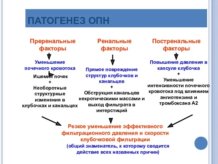 ПАТОГЕНЕЗ ОПН Преренальныефакторы Ренальные факторы Постренальные факторы Повышение давления в