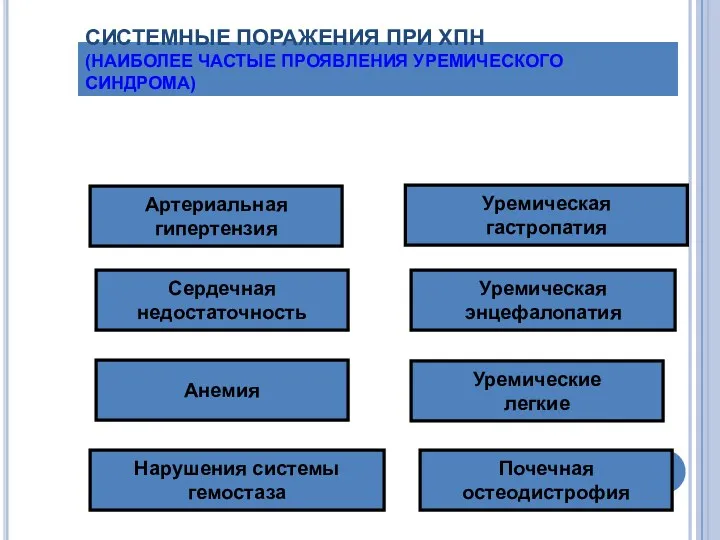 СИСТЕМНЫЕ ПОРАЖЕНИЯ ПРИ ХПН (НАИБОЛЕЕ ЧАСТЫЕ ПРОЯВЛЕНИЯ УРЕМИЧЕСКОГО СИНДРОМА) Артериальная