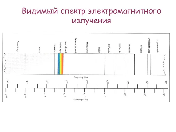 Видимый спектр электромагнитного излучения