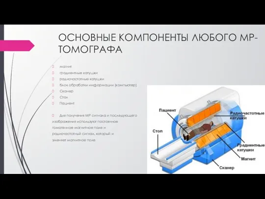 ОСНОВНЫЕ КОМПОНЕНТЫ ЛЮБОГО МР-ТОМОГРАФА магнит градиентные катушки радиочастотные катушки блок