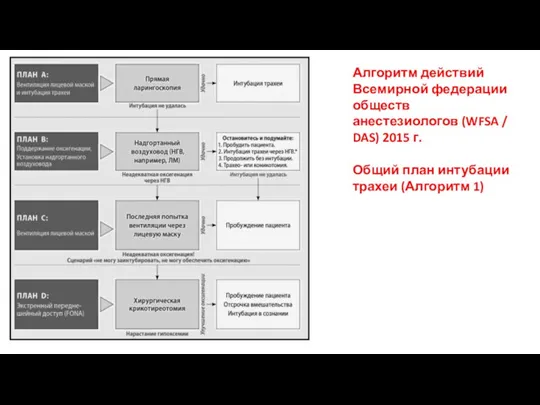 Алгоритм действий Всемирной федерации обществ анестезиологов (WFSA / DAS) 2015 г. Общий план
