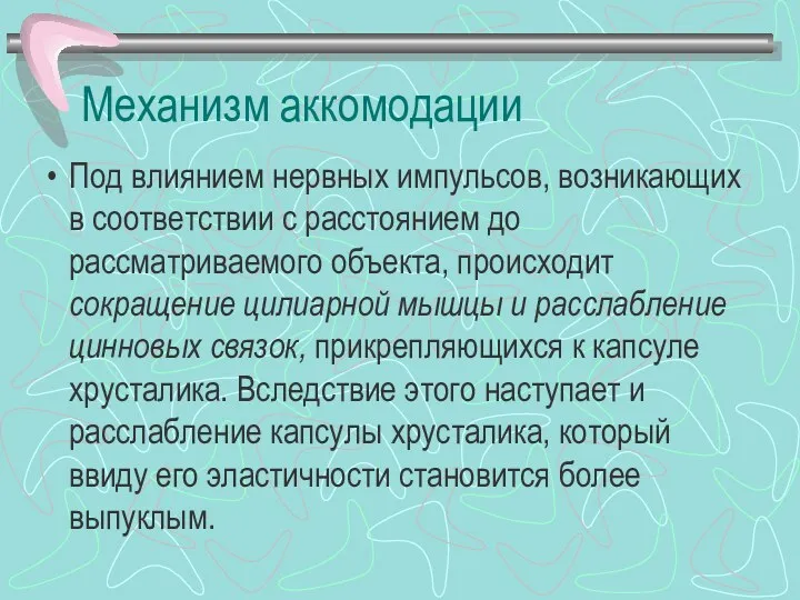 Механизм аккомодации Под влиянием нервных импульсов, возникающих в соответствии с