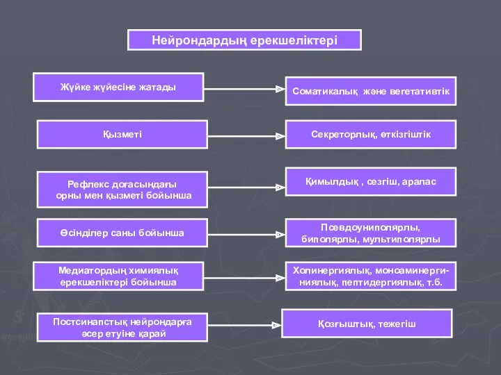 Нейрондардың ерекшеліктері Жүйке жүйесіне жатады Қызметі Өсінділер саны бойынша Медиатордың