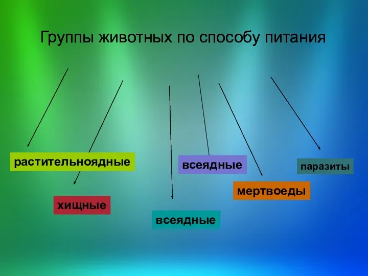 паразиты всеядные