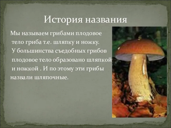 Мы называем грибами плодовое тело гриба т.е. шляпку и ножку.