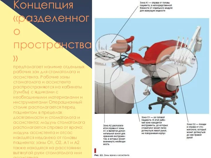 Концепция «разделенного пространства» предполагает наличие отдельных рабочих зон для стоматолога