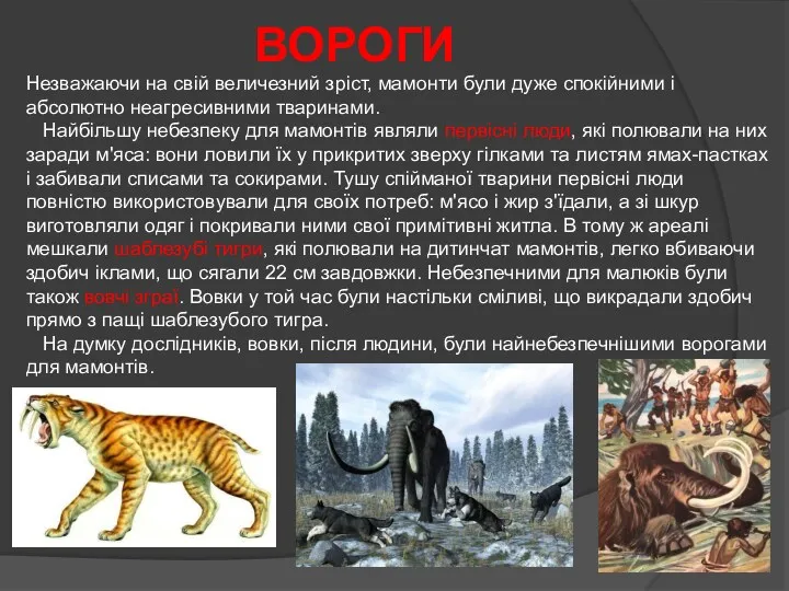 ВОРОГИ Незважаючи на свій величезний зріст, мамонти були дуже спокійними