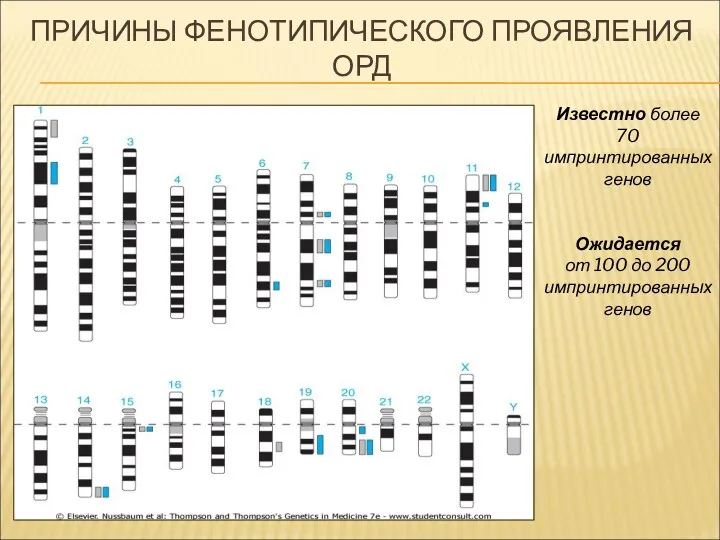 ПРИЧИНЫ ФЕНОТИПИЧЕСКОГО ПРОЯВЛЕНИЯ ОРД Известно более 70 импринтированных генов Ожидается от 100 до 200 импринтированных генов