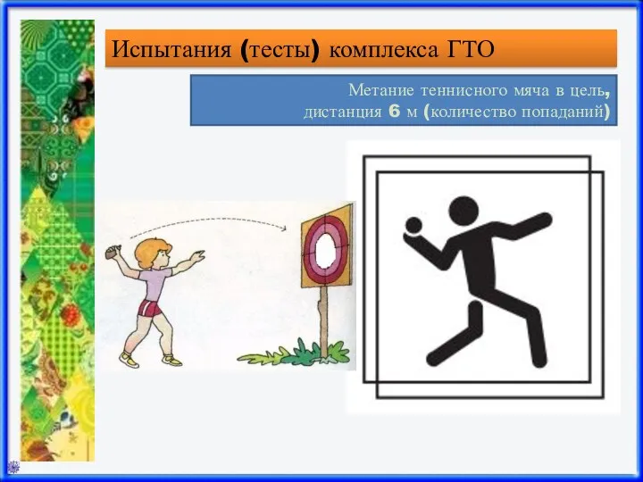 Испытания (тесты) комплекса ГТО Метание теннисного мяча в цель, дистанция 6 м (количество попаданий)