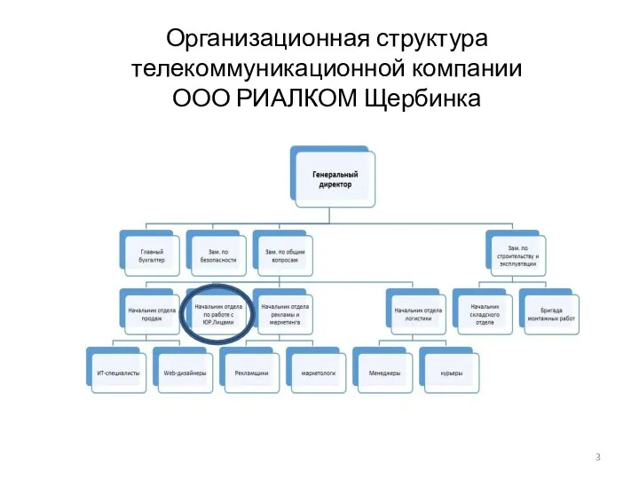 Организационная структура телекоммуникационной компании ООО РИАЛКОМ Щербинка