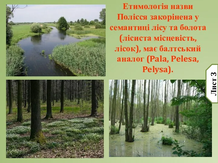 Етимологія назви Полісся закорінена у семантиці лісу та болота (лісиста