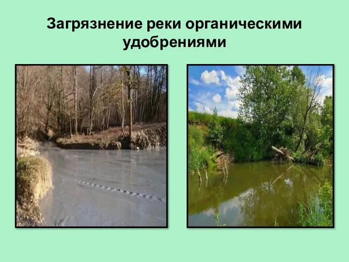 Загрязнение реки органическими удобрениями
