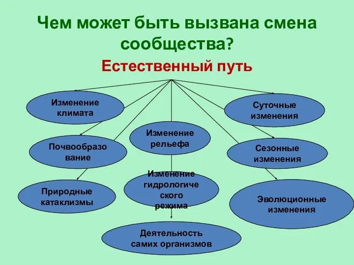 Чем может быть вызвана смена сообщества? Естественный путь Изменение климата