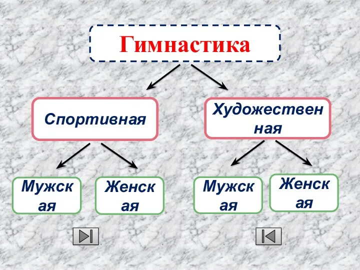 Гимнастика Художественная Спортивная Мужская Мужская Женская Женская