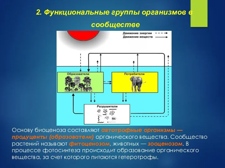 2. Функциональные группы организмов в сообществе Основу биоценоза составляют автотрофные