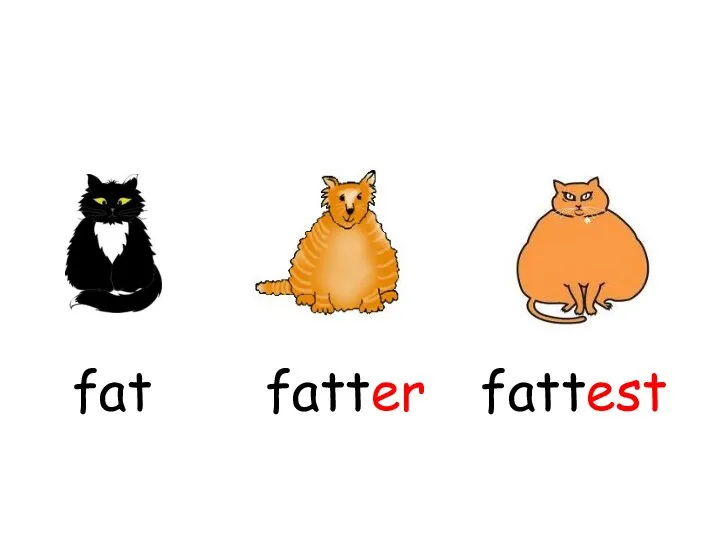 fatter fattest fat