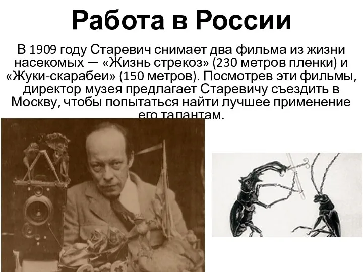 Работа в России В 1909 году Старевич снимает два фильма из жизни насекомых