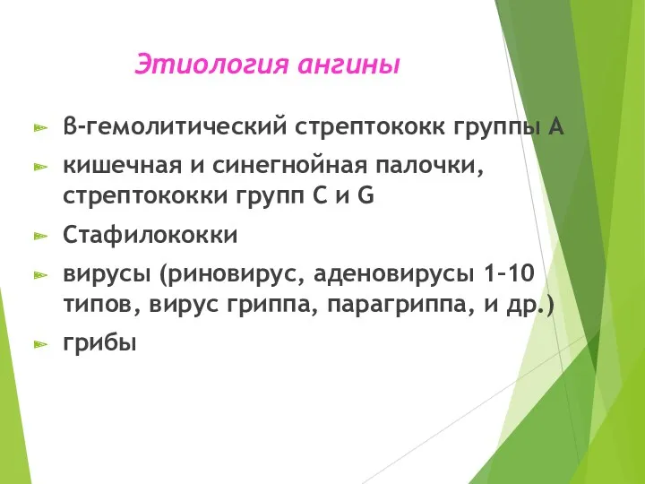 Этиология ангины β-гемолитический стрептококк группы А кишечная и синегнойная палочки,