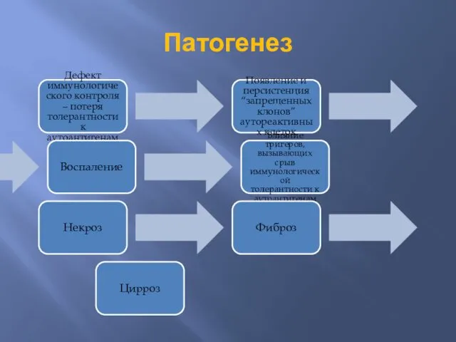 Патогенез Дефект иммунологического контроля – потеря толерантности к аутоантигенам Появление