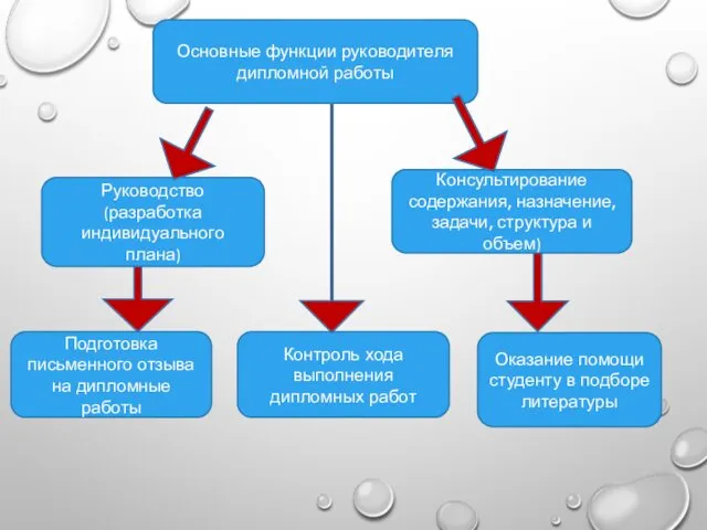 Основные функции руководителя дипломной работы Подготовка письменного отзыва на дипломные