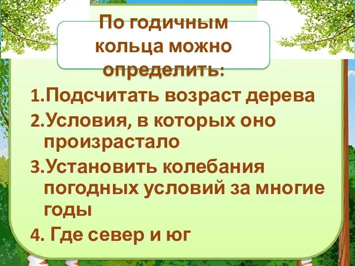 По годичным кольца можно определить: 1.Подсчитать возраст дерева 2.Условия, в