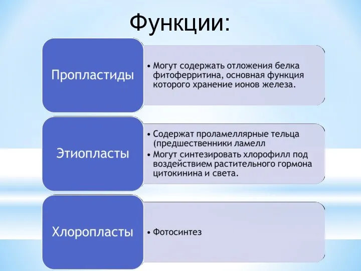 Функции: