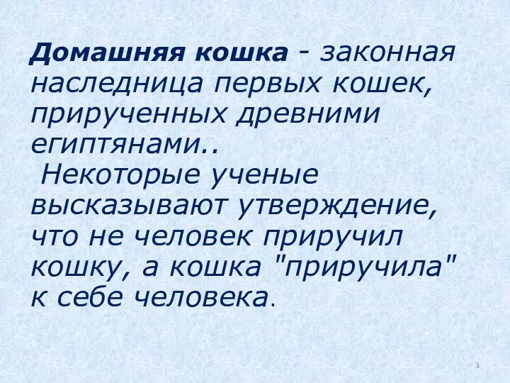 Домашняя кошка - законная наследница первых кошек, прирученных древними египтянами..